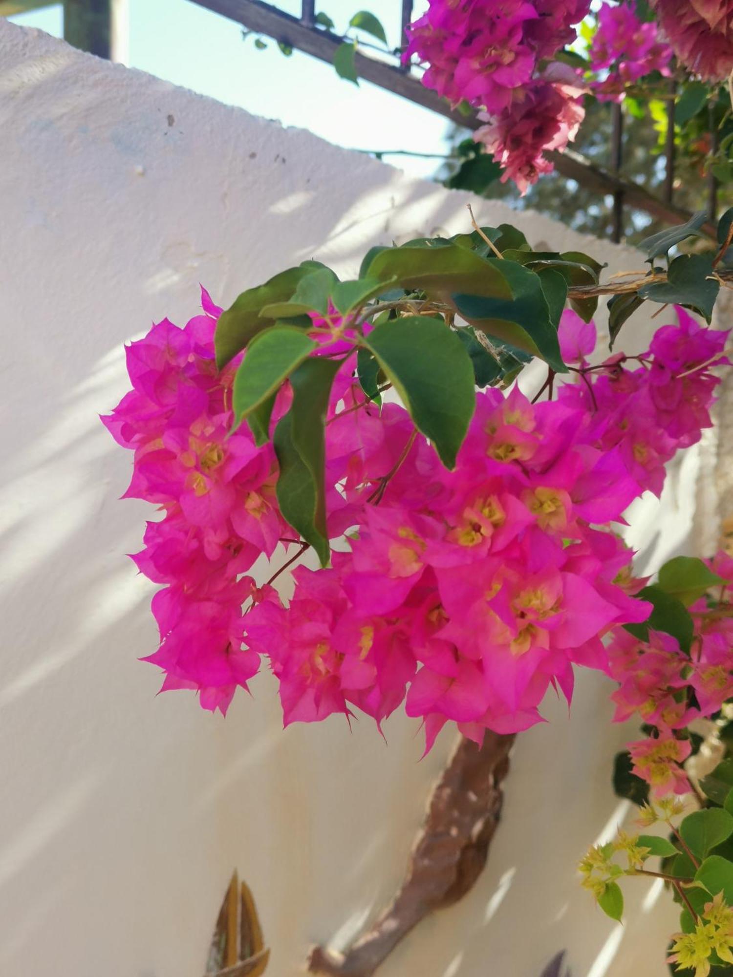 Eden Guesthouse Sardina المظهر الخارجي الصورة