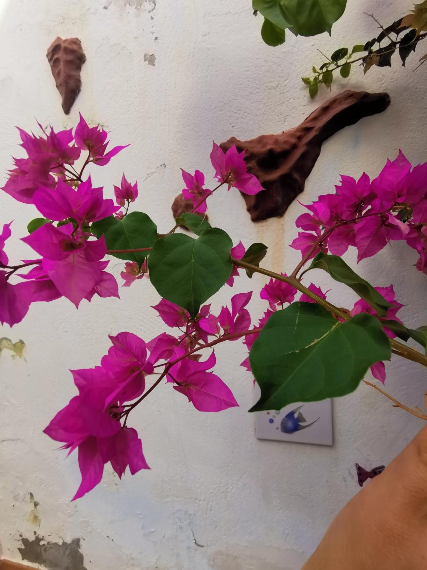 Eden Guesthouse Sardina المظهر الخارجي الصورة